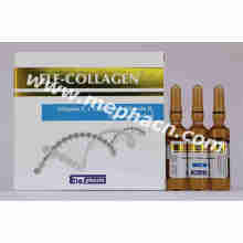 Ele Beauty Injection Collagen + Vitamine C + Vb6